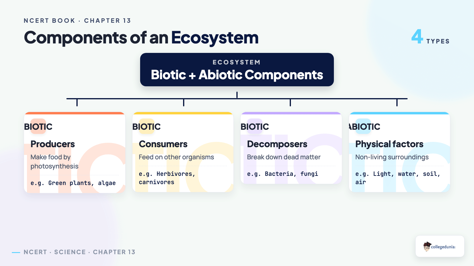 Ecosystem biotic and abiotic components for Class 10 Science Chapter 13 Our Environment NCERT Book