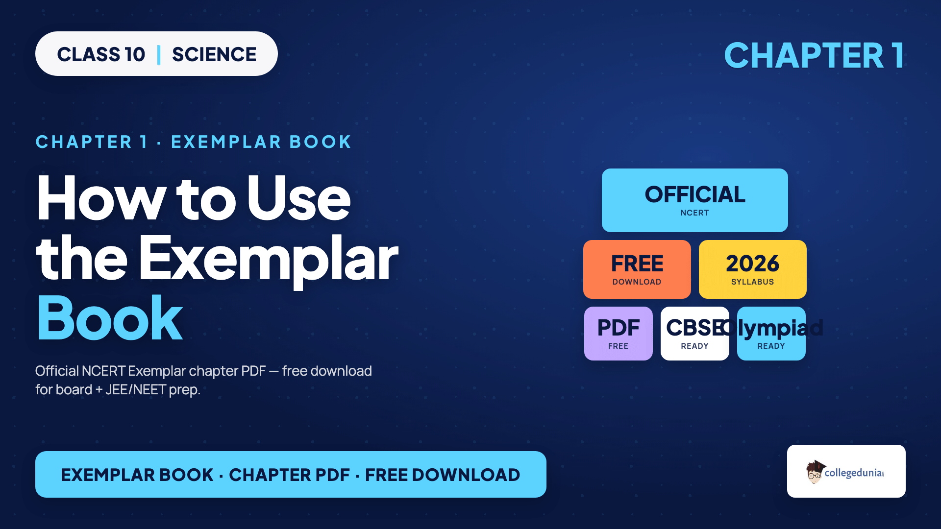 How to use the NCERT Exemplar Class 10 Science Chapter 1 PDF