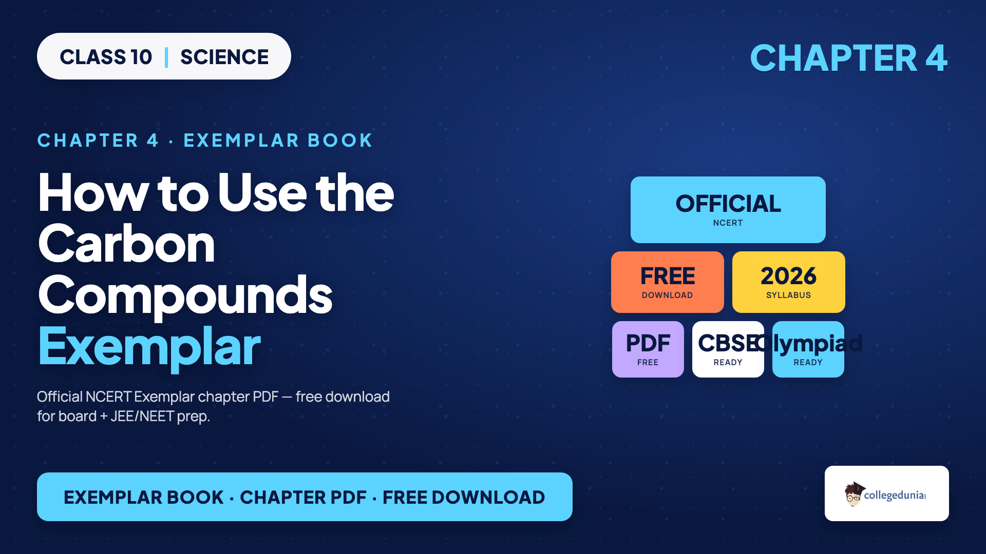 How to use the NCERT Exemplar Class 10 Science Chapter 4 PDF