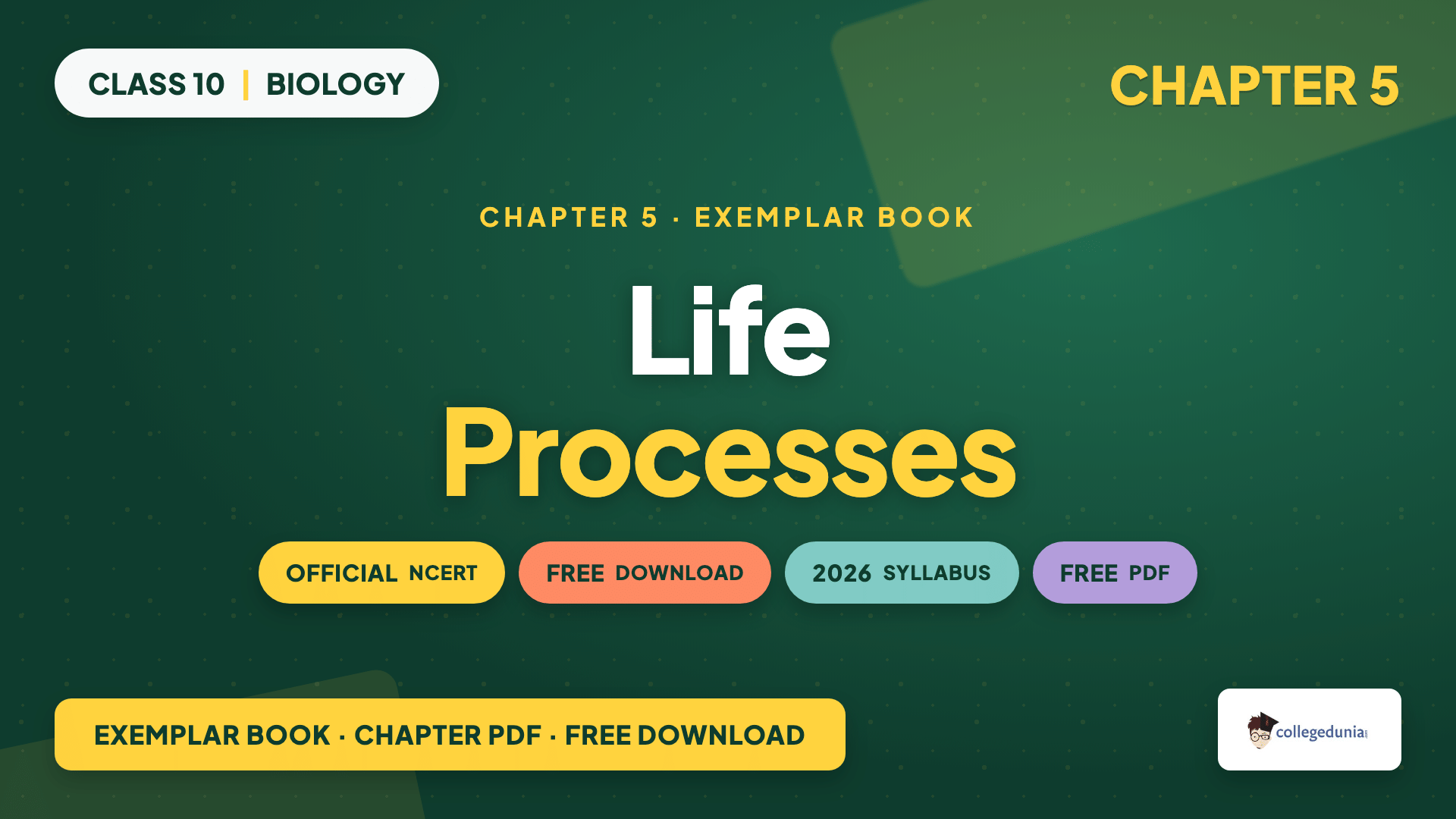 NCERT Exemplar Class 10 Science Chapter 5 Life Processes
