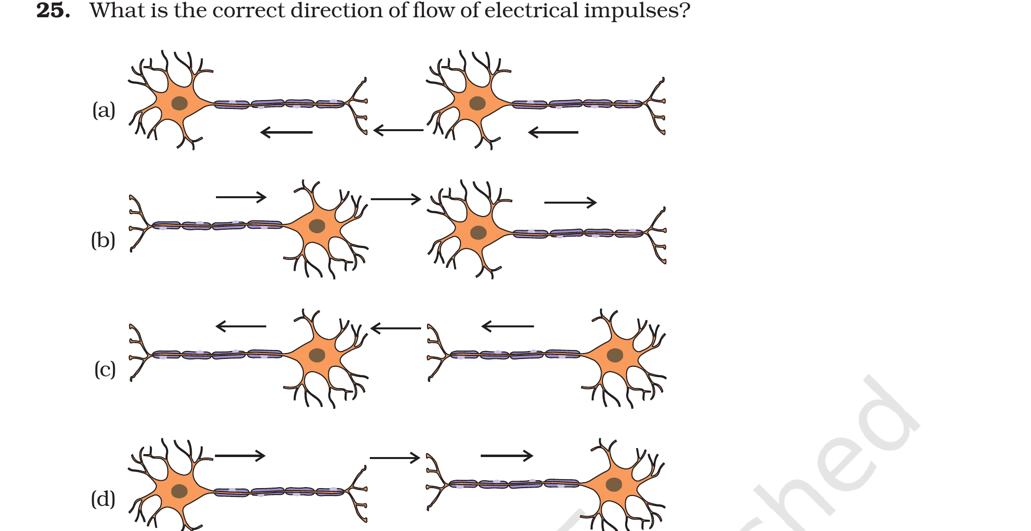 The four options (a)–(d) show neurons with arrows marking different directions of impulse flow (NCERT Exemplar, Fig. 7.1).