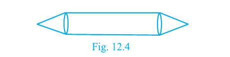 Fig. 12.4