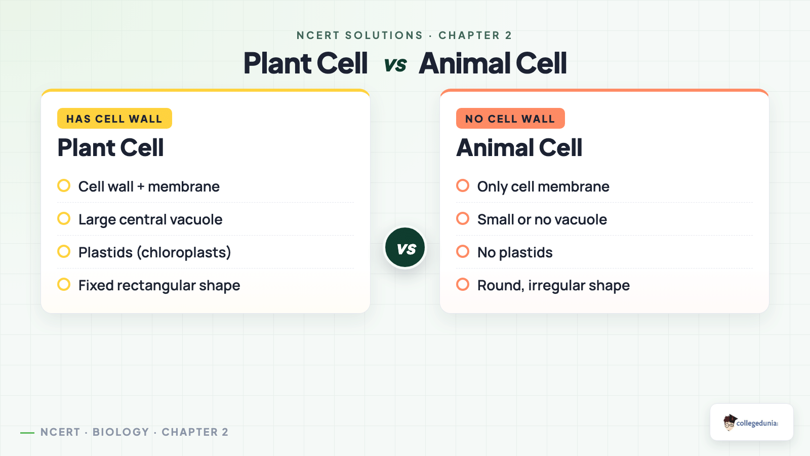 Plant cell versus animal cell comparison for Class 9 Science Chapter 2 Cell The Building Block of Life