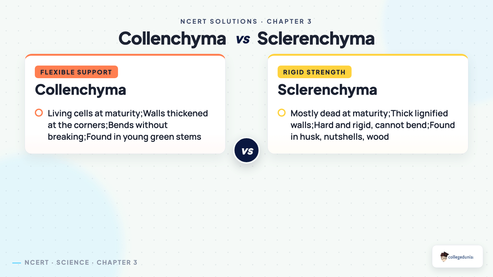 Collenchyma vs sclerenchyma in Class 9 Science Tissues in Action
