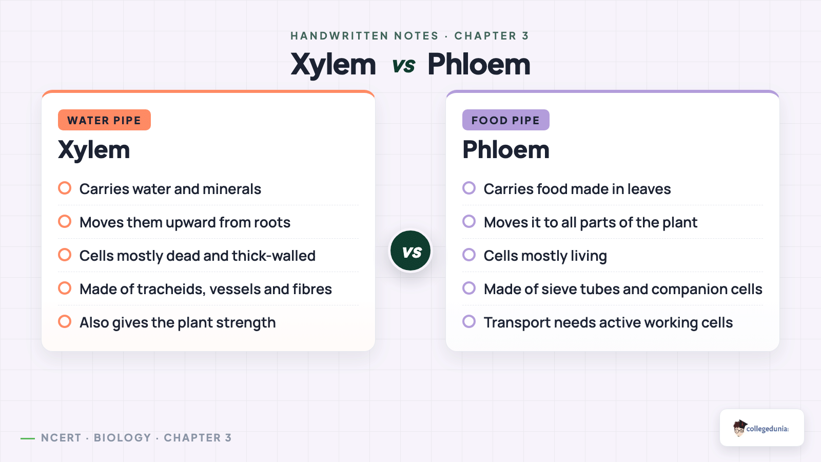 Xylem versus phloem comparison for Class 9 Science Chapter 3 Tissues in Action handwritten notes