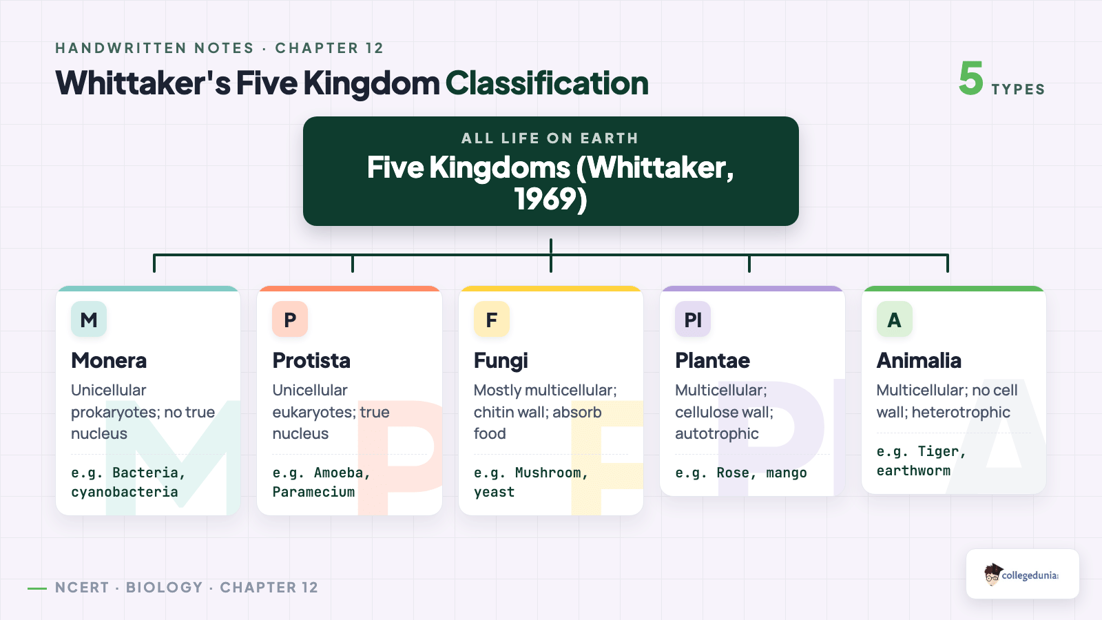 Whittaker five kingdom classification hand-drawn chart for Class 9 Science Chapter 12