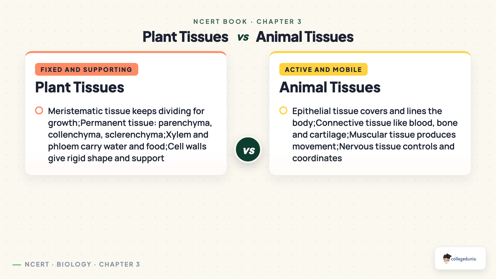 Plant tissues and animal tissues compared in Class 9 Science Chapter 3 Tissues in Action