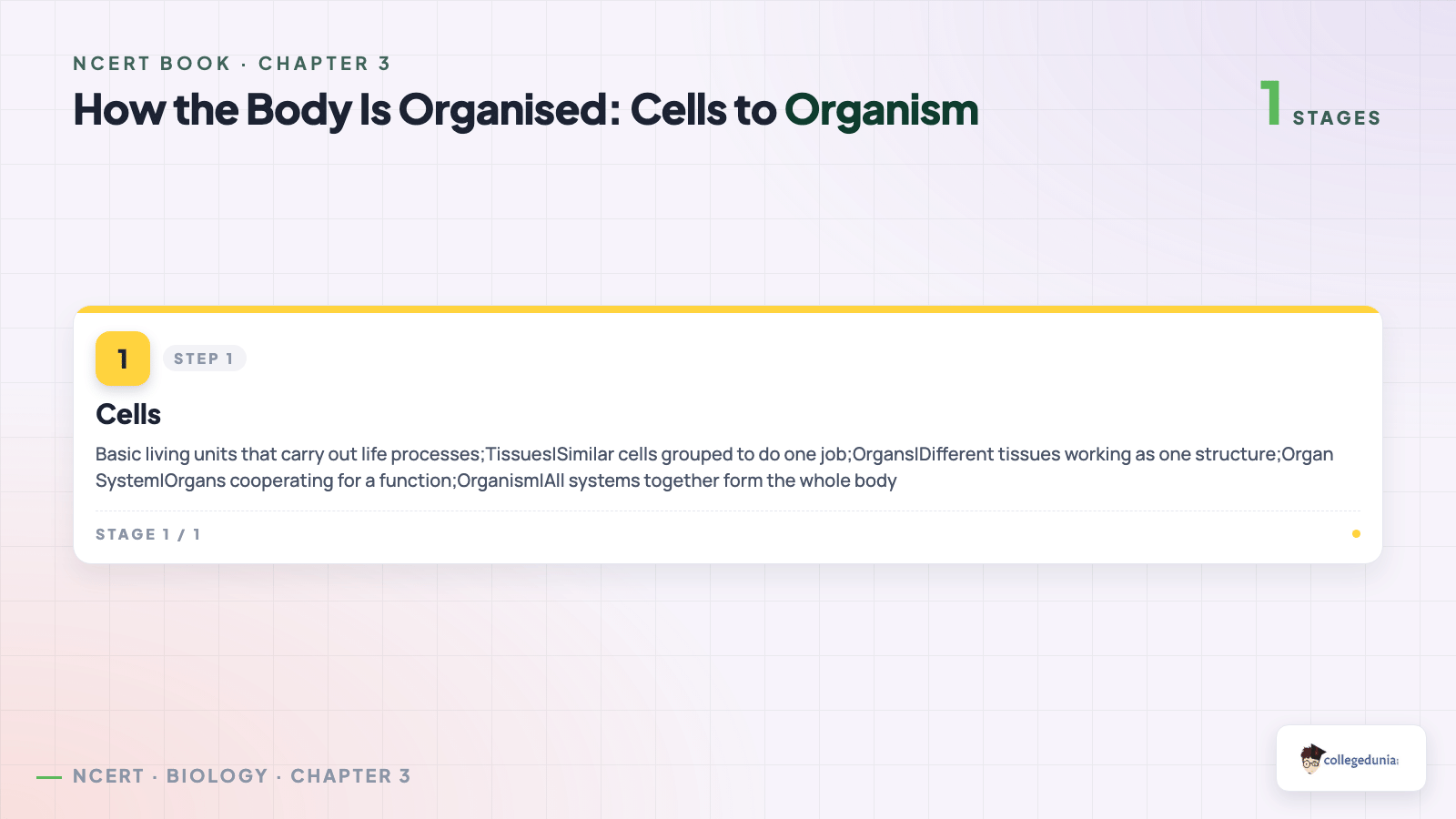 How cells form tissues, organs and organ systems in Class 9 Science Chapter 3