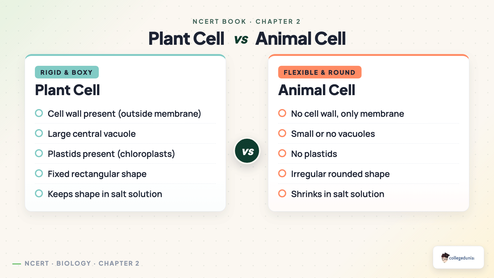Plant cell versus animal cell comparison for Class 9 Science Chapter 2 showing cell wall, plastids, vacuole and shape differences