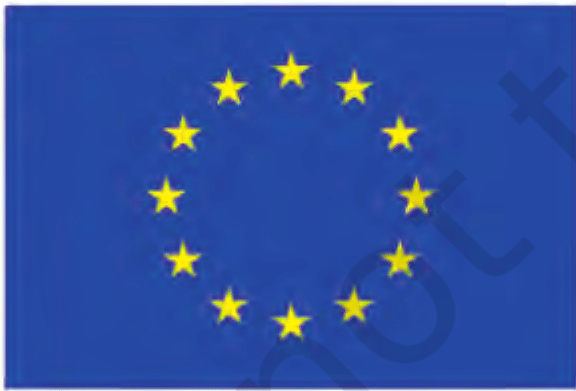 The European Union Flag, NCERT Contemporary World Politics Class 12, Chapter 2. The twelve gold stars stand for solidarity, perfection and unity among the peoples of Europe.