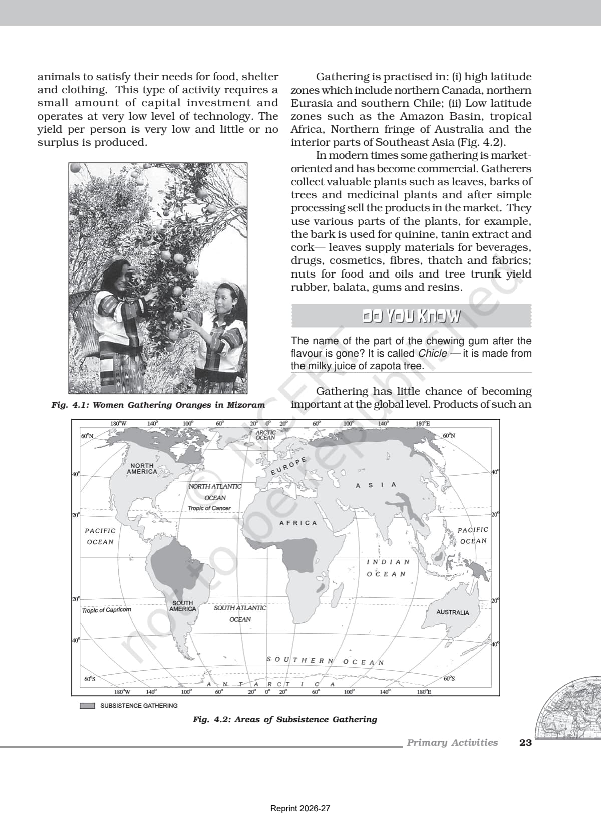 Primary Activities Class 12 NCERT Book page 2