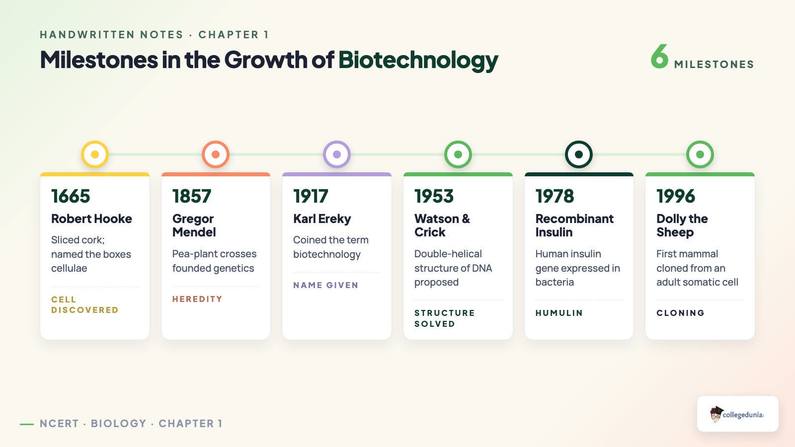Timeline of biotechnology milestones from Robert Hooke in 1665 and Karl Ereky in 1917 to recombinant insulin and Dolly the sheep
