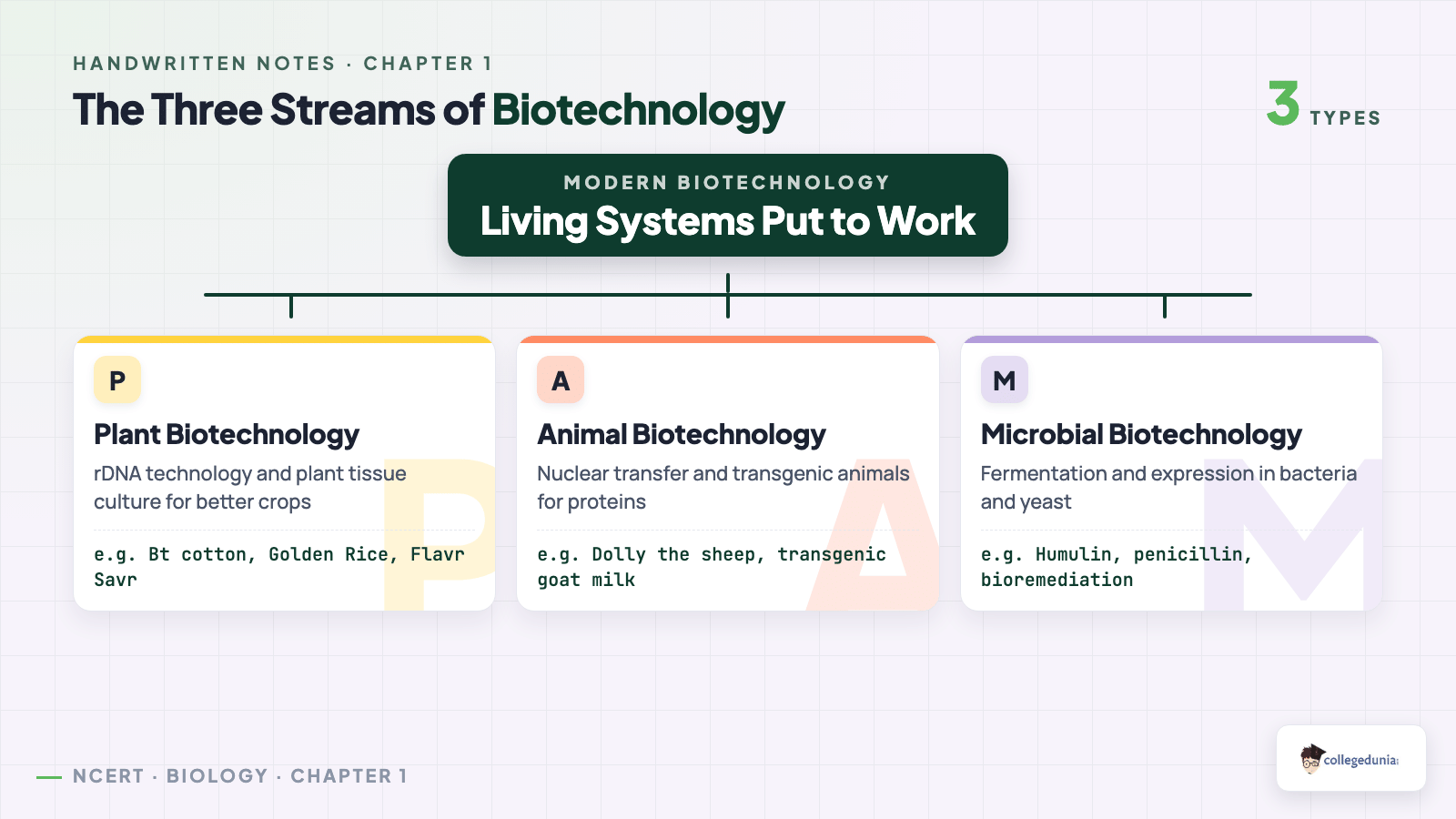 Classification tree of the three streams of biotechnology showing plant, animal and microbial biotechnology with their tools and examples