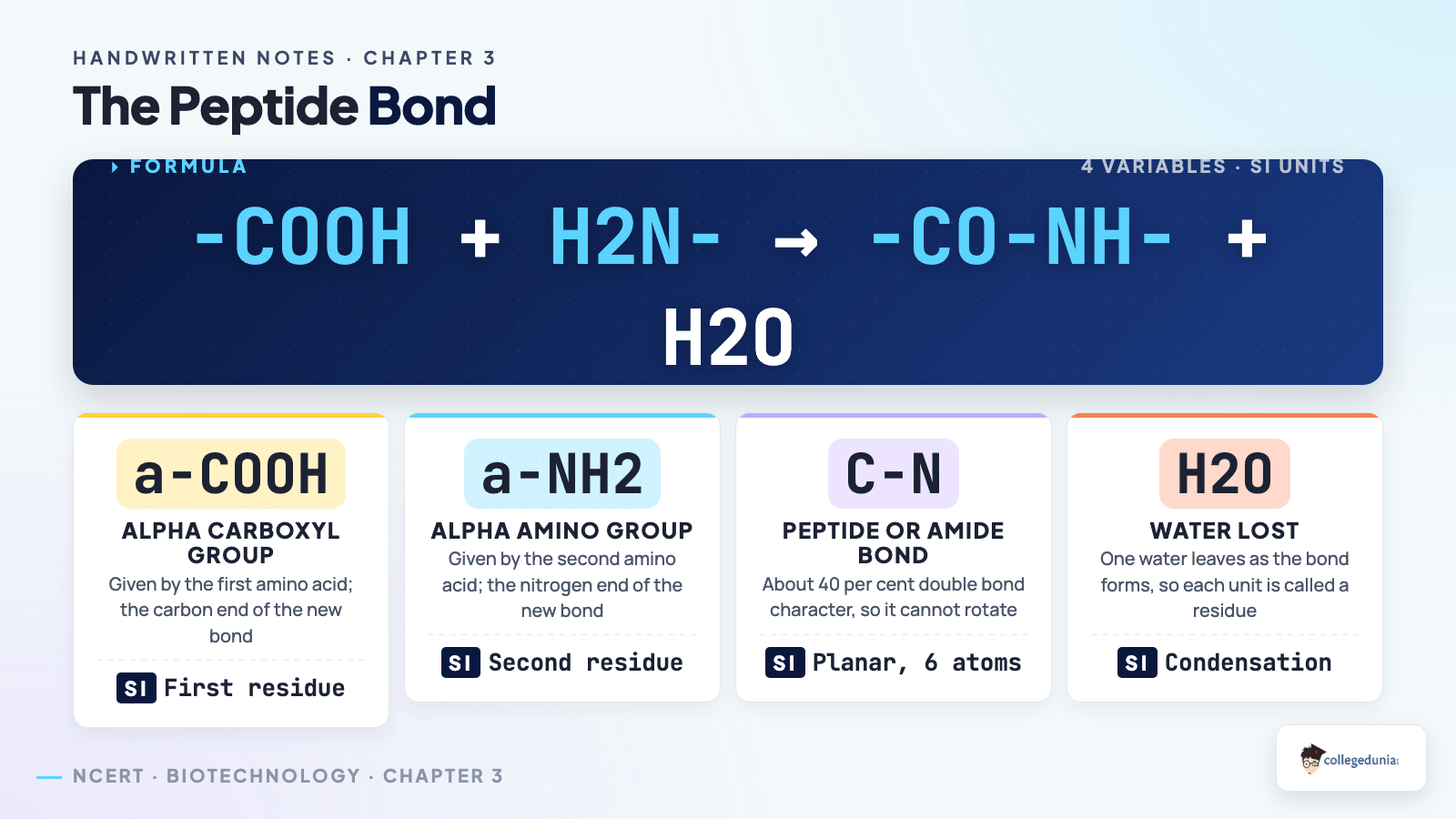 Peptide bond formation broken down into the alpha carboxyl group, the alpha amino group, the planar C to N amide bond and the water molecule lost