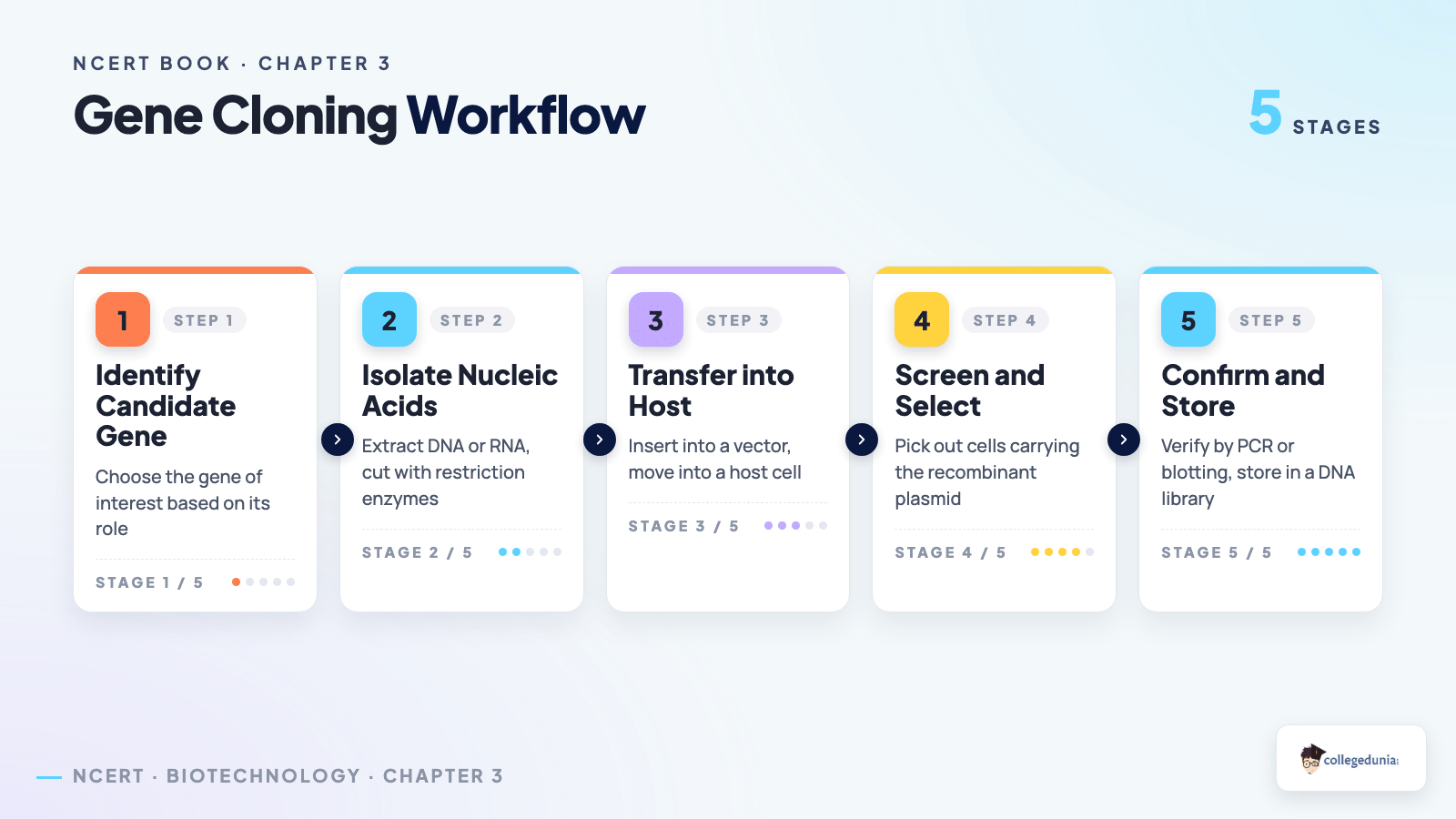Gene cloning workflow showing candidate gene identification, nucleic acid isolation, transfer into a host, screening and selection, and confirmation and storage