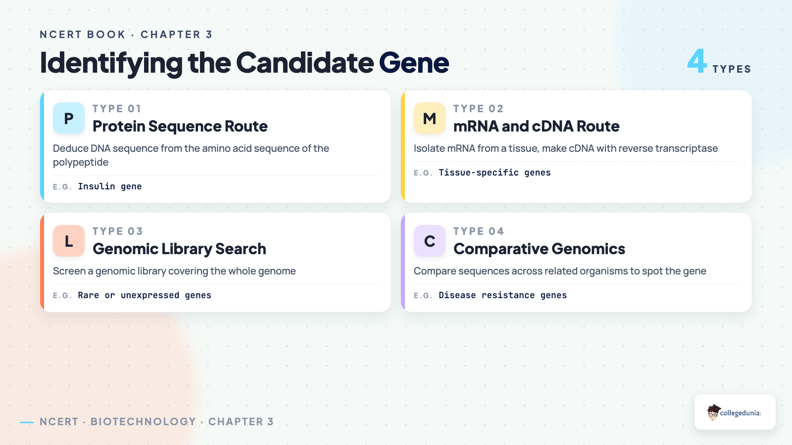 Four methods of identifying the candidate gene in Class 12 Biotechnology chapter 3, covering protein sequence route, mRNA and cDNA route, genomic library search and comparative genomics