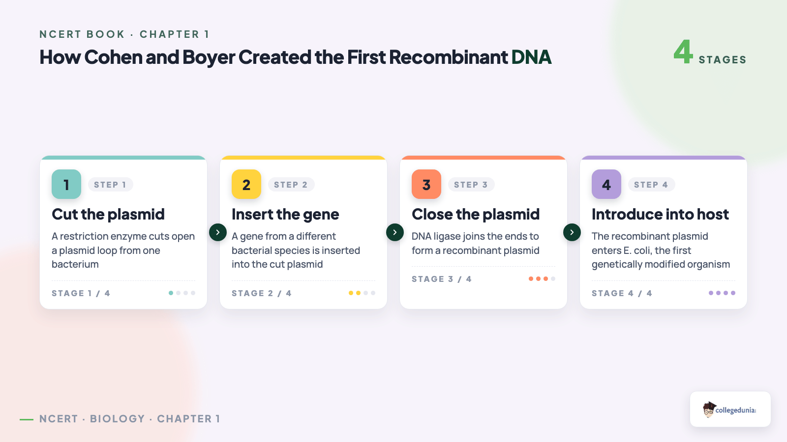 Four step process flow showing how Cohen and Boyer cut a plasmid, inserted a gene, closed it with DNA ligase and introduced it into E. coli to create the first recombinant DNA