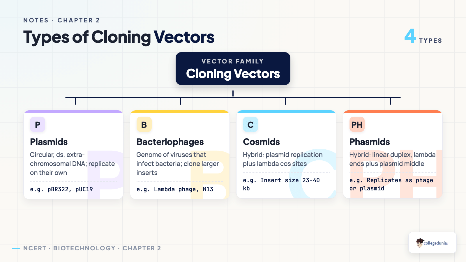 Classification of cloning vectors into plasmids, bacteriophages, cosmids and phasmids for Class 12 Biotechnology chapter 2 Host-Vector System