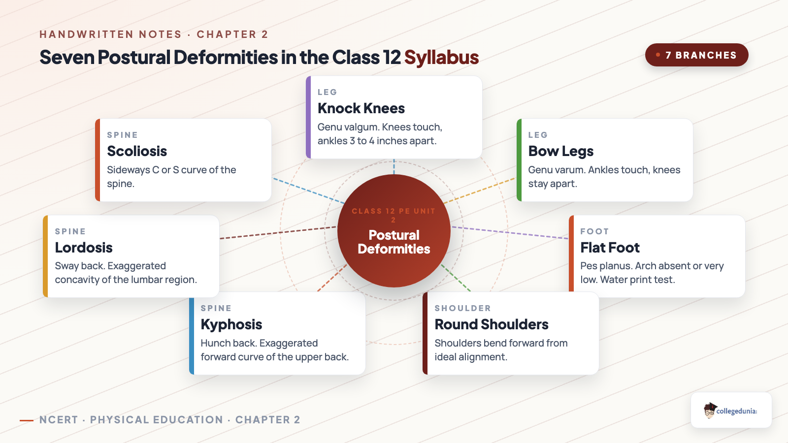 Seven postural deformities in Class 12 Physical Education Chapter 2: knock knees, bow legs, flat foot, round shoulders, kyphosis, lordosis and scoliosis