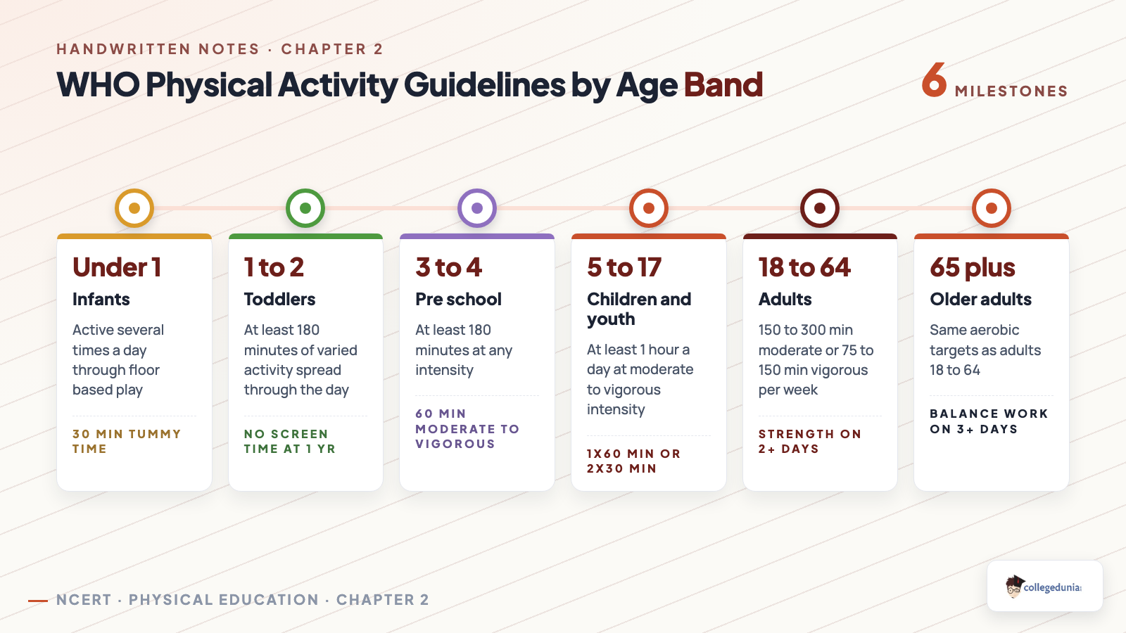 WHO physical activity guidelines by age band from under 1 year to 65 plus years, Class 12 Physical Education Chapter 2
