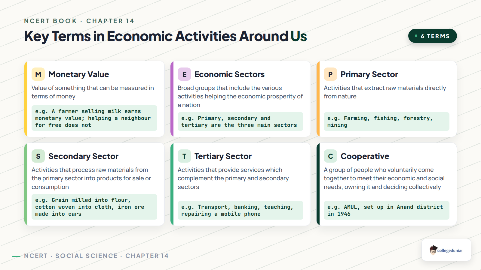 Key terms from Class 6 Social Science Chapter 14 including monetary value, economic sectors and cooperative