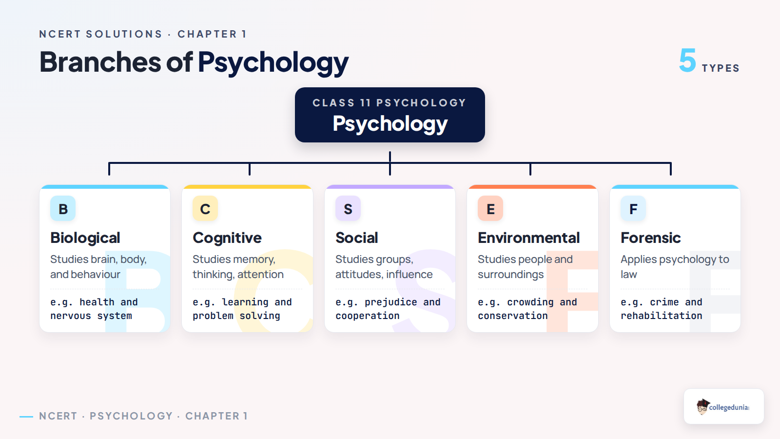 Classification tree of Psychology branches used in Class 11 Chapter 1, including clinical, counselling, environmental, educational, organisational, and forensic psychology