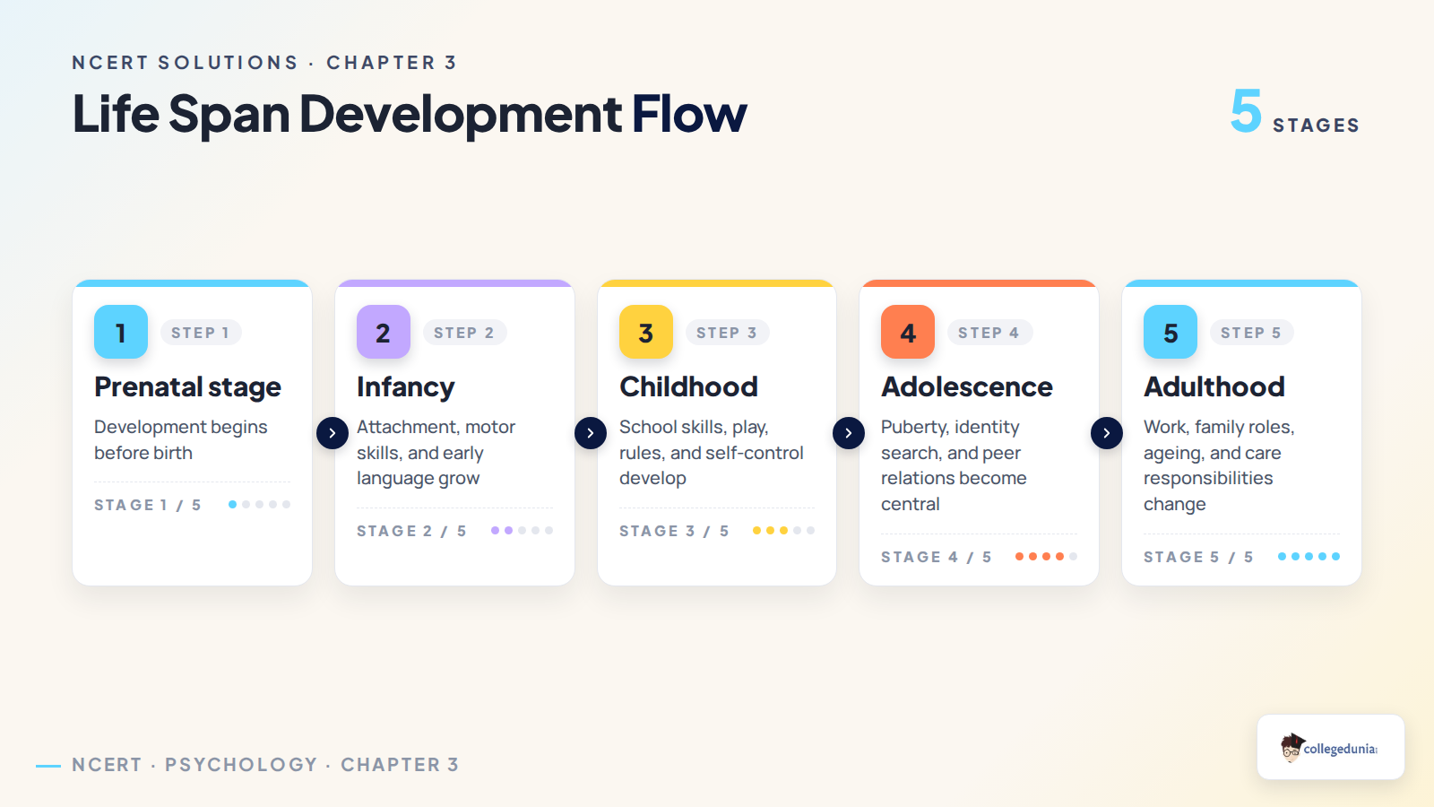 Life span development flow for Class 11 Psychology Human Development