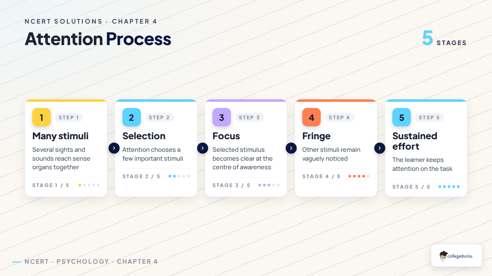Attention process stages for Class 11 Psychology Chapter 4