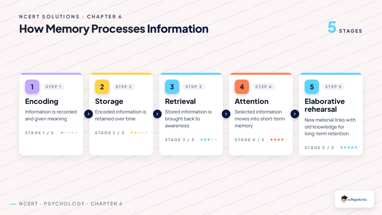 Encoding storage and retrieval process in Class 11 Psychology Human Memory