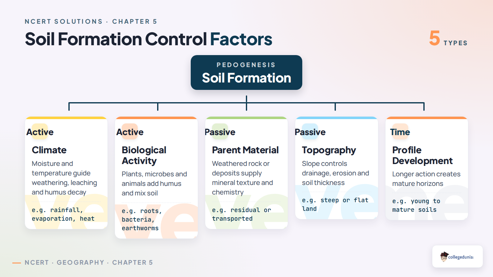 Soil formation factors in Class 11 Geography Geomorphic Processes