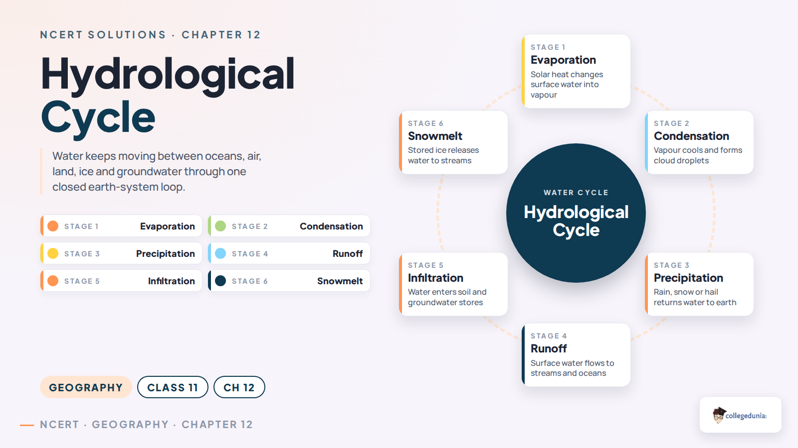 Hydrological cycle for Class 11 Geography Chapter 12 showing evaporation condensation precipitation infiltration runoff and transpiration