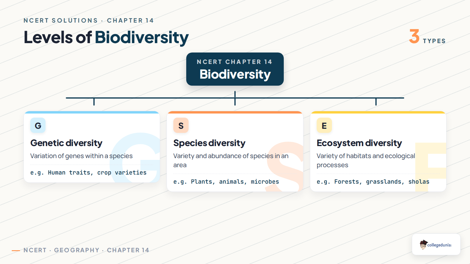 Three levels of biodiversity for Class 11 Geography Chapter 14