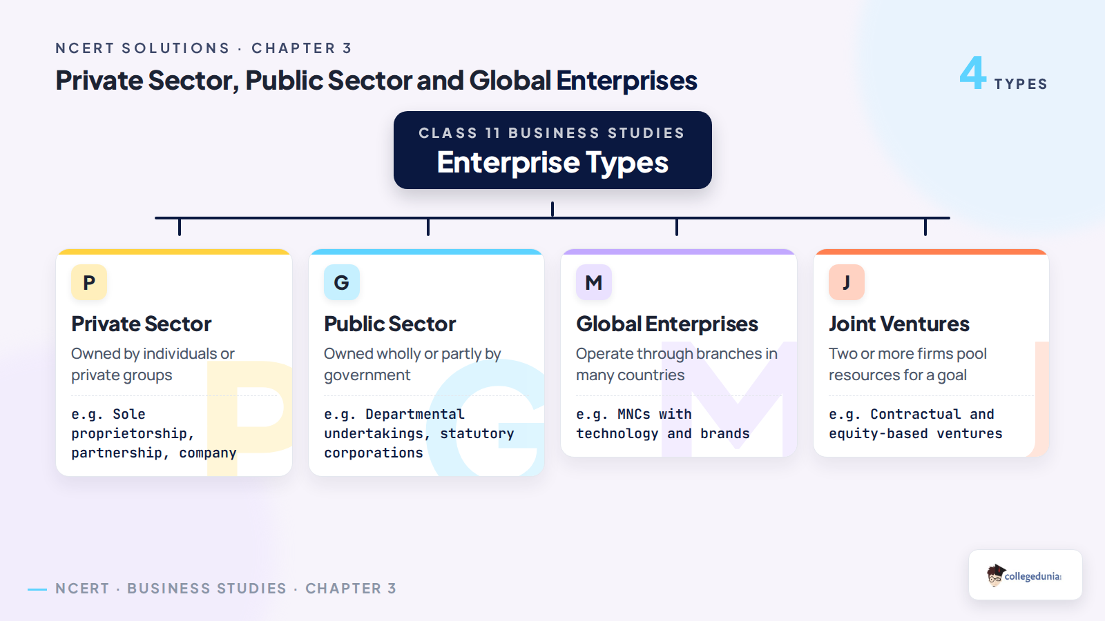 Private sector public sector and global enterprises classification
