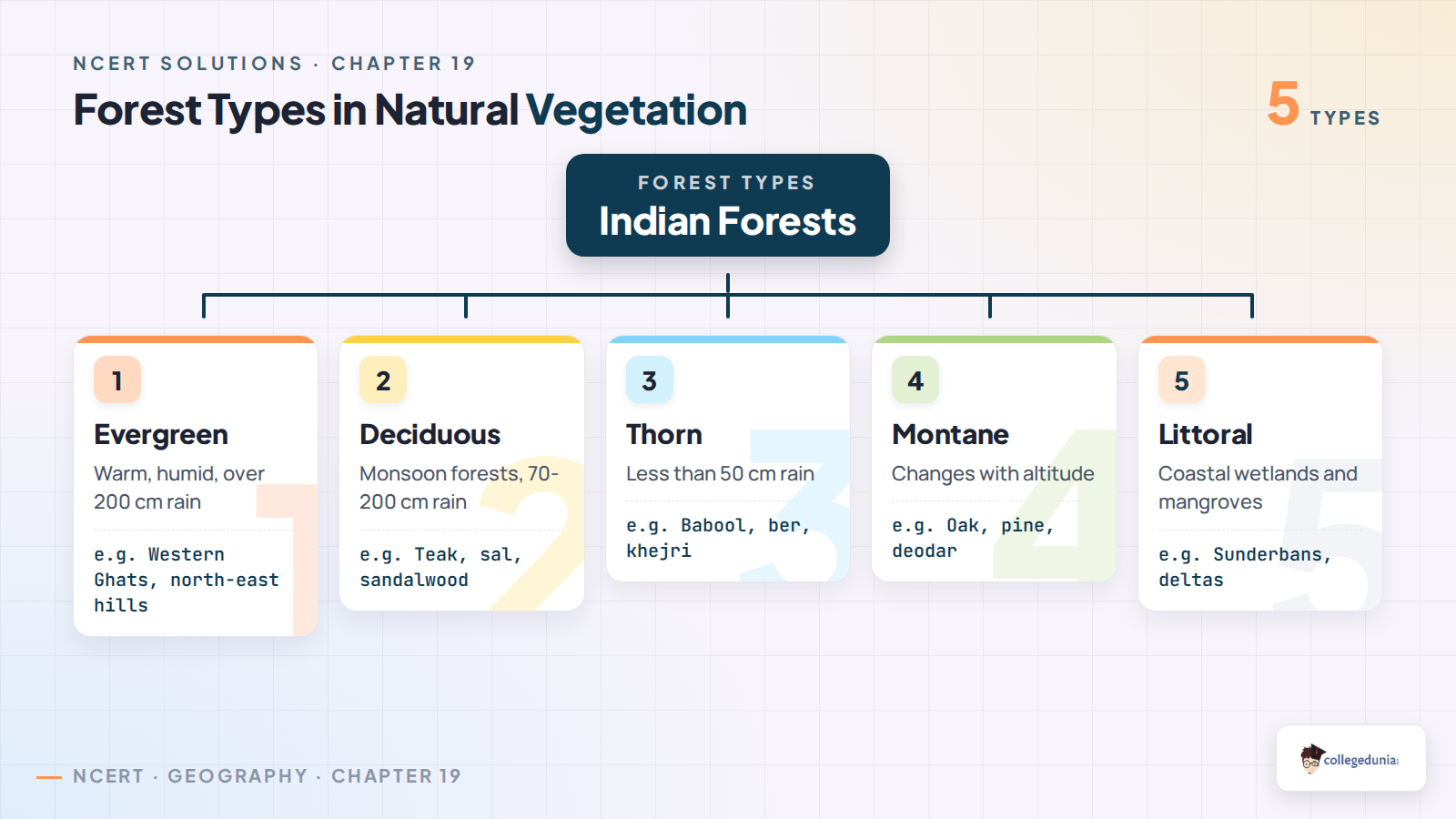 Forest types in Natural Vegetation for Class 11 Geography