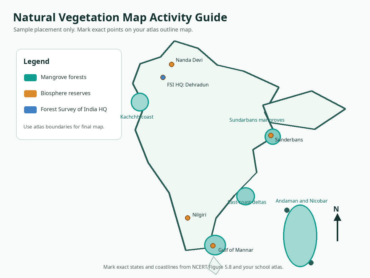 Natural vegetation map activity guide for mangroves and biosphere reserves