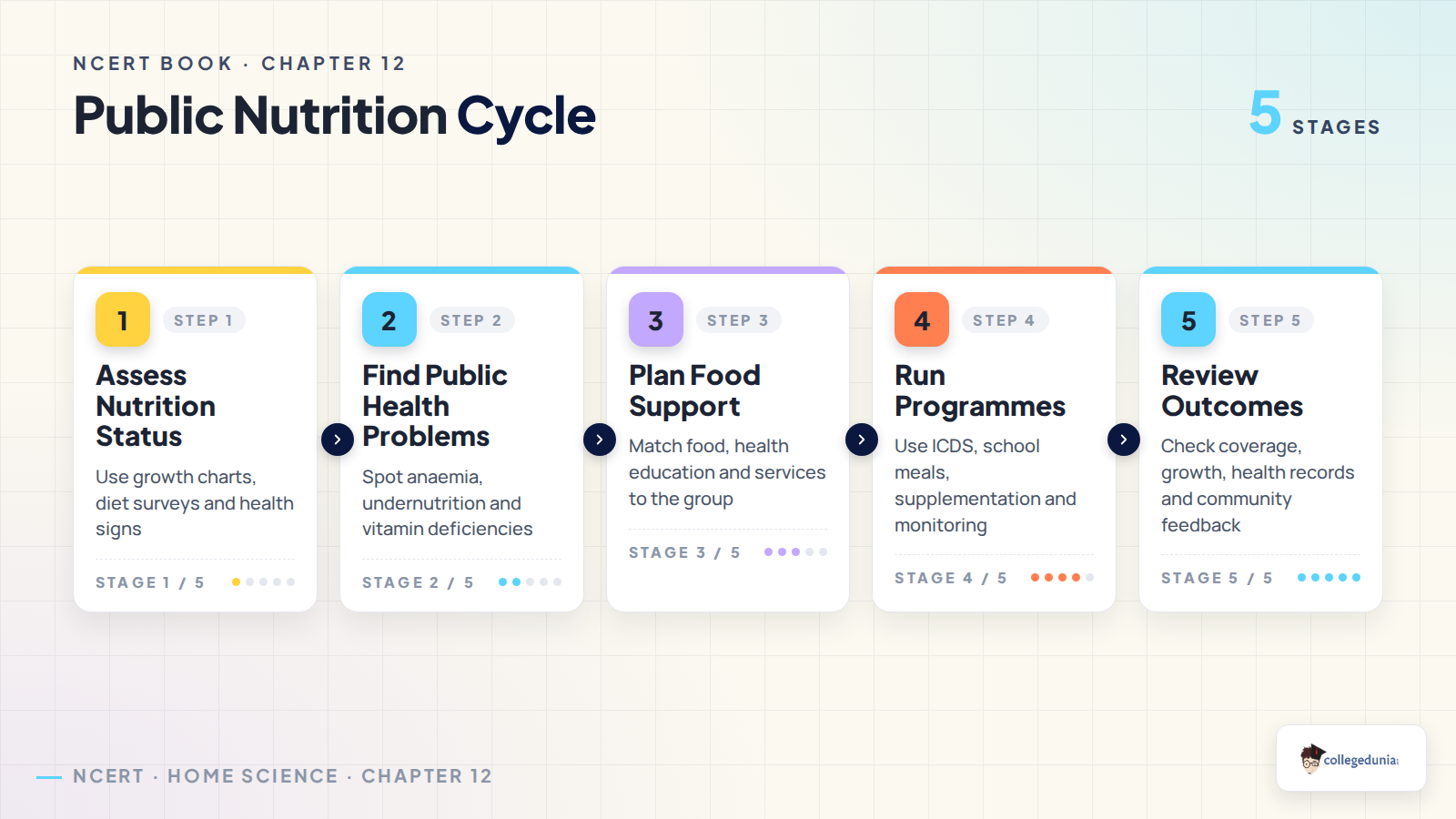 Public nutrition cycle for Class 12 Home Science Chapter 12