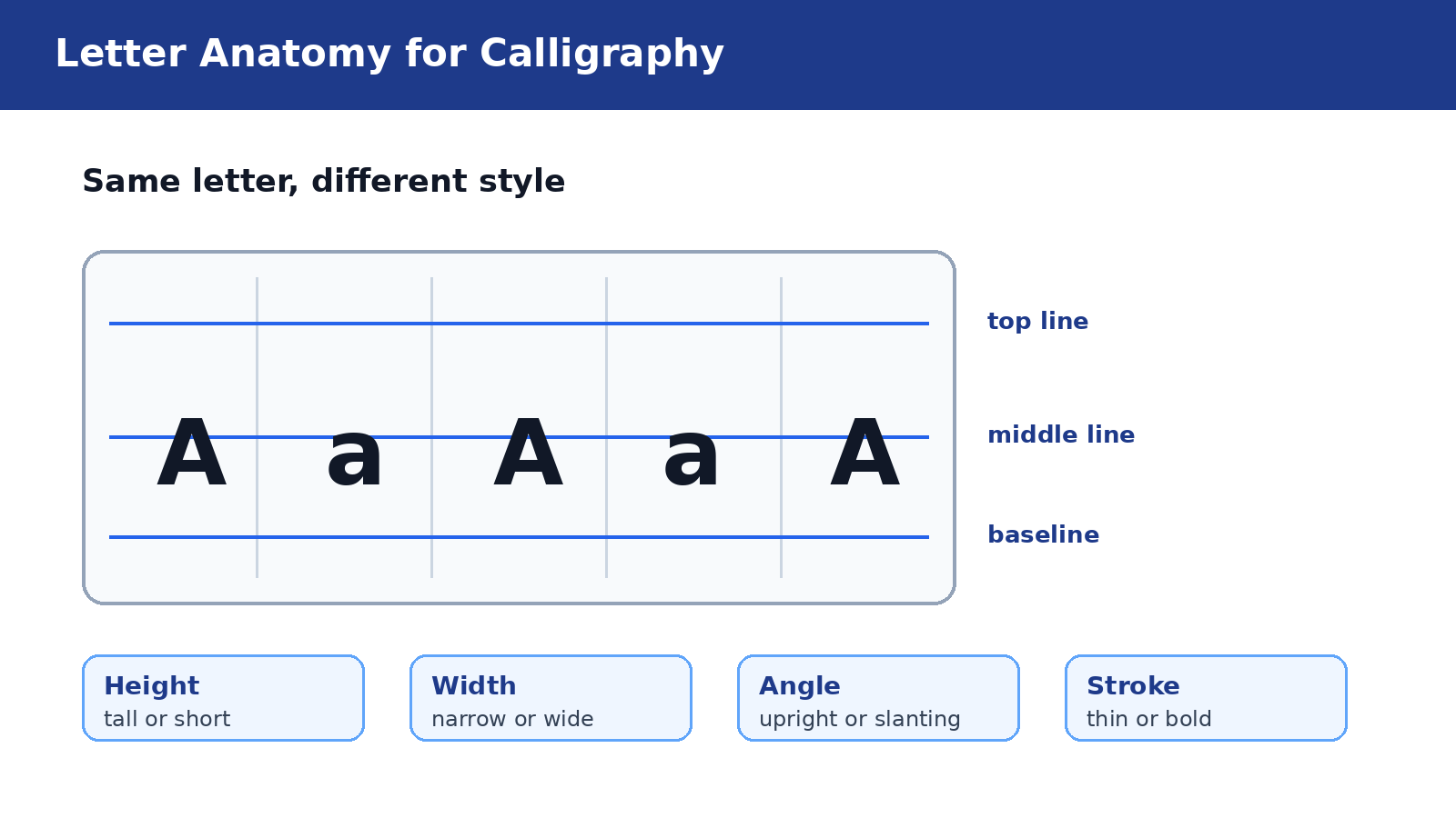 Letter anatomy guide for Class 7 Arts calligraphy