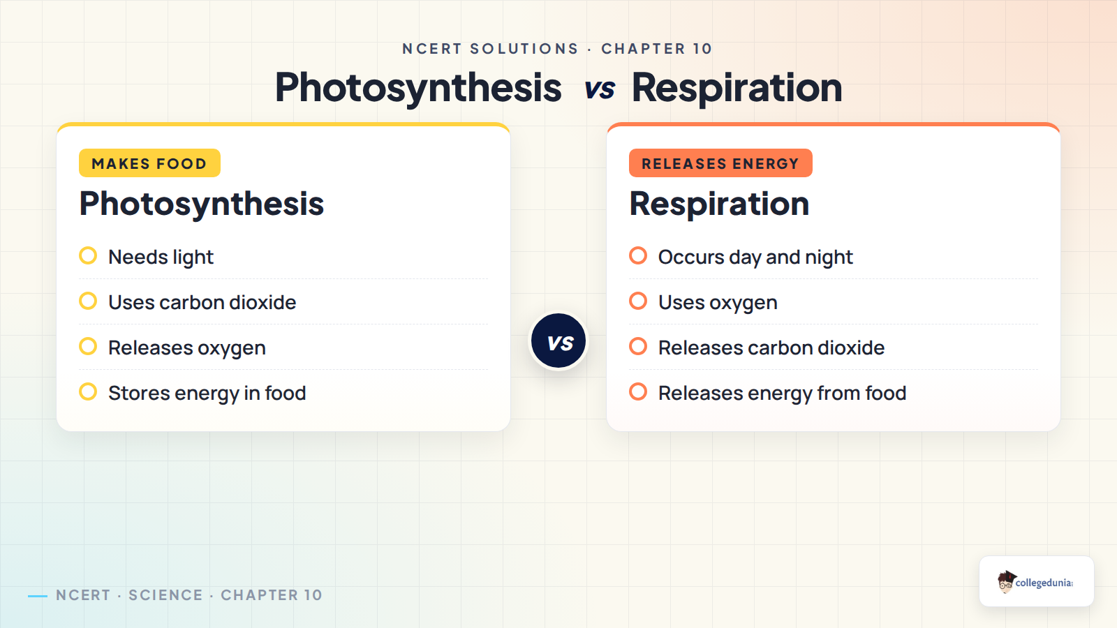 Photosynthesis and respiration in plants compared