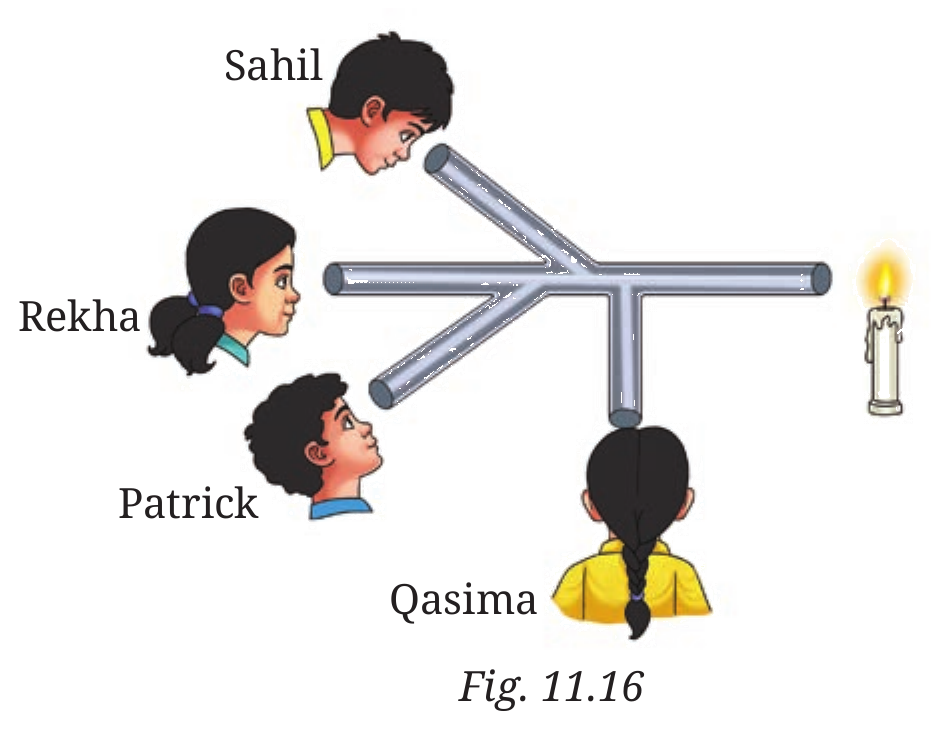 Fig. 11.16, NCERT Curiosity Class 7 Science, Chapter 11.