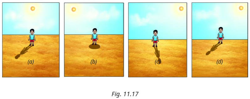 Fig. 11.17, NCERT Curiosity Class 7 Science, Chapter 11.