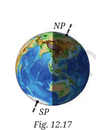 Fig. 12.17, NCERT Science Class 7, Chapter 12.
