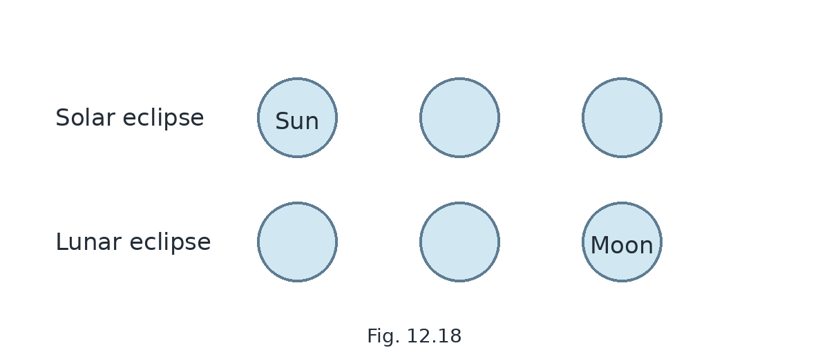 Fig. 12.18, NCERT Science Class 7, Chapter 12.