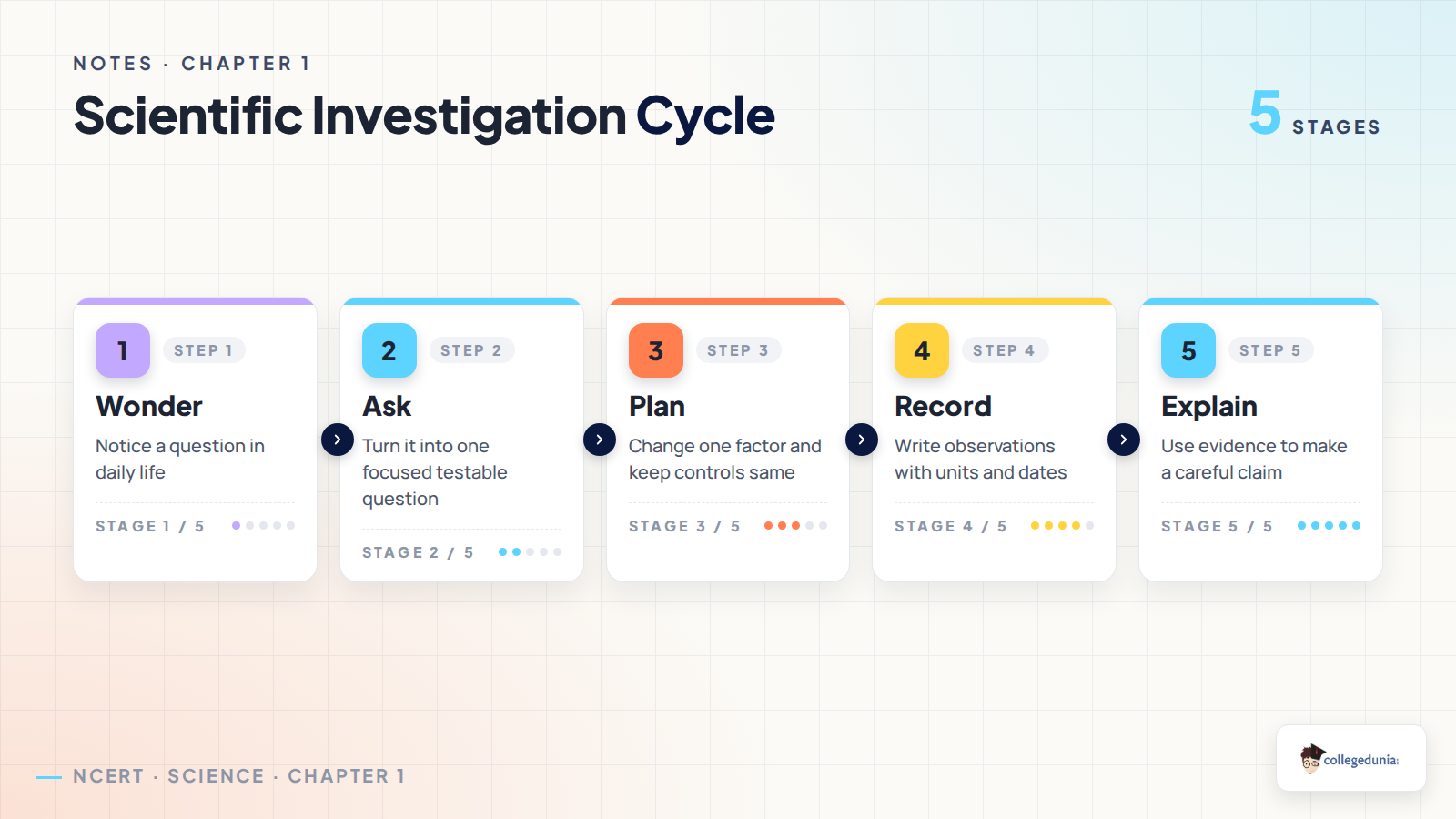 Scientific investigation cycle for Class 8 Science Chapter 1