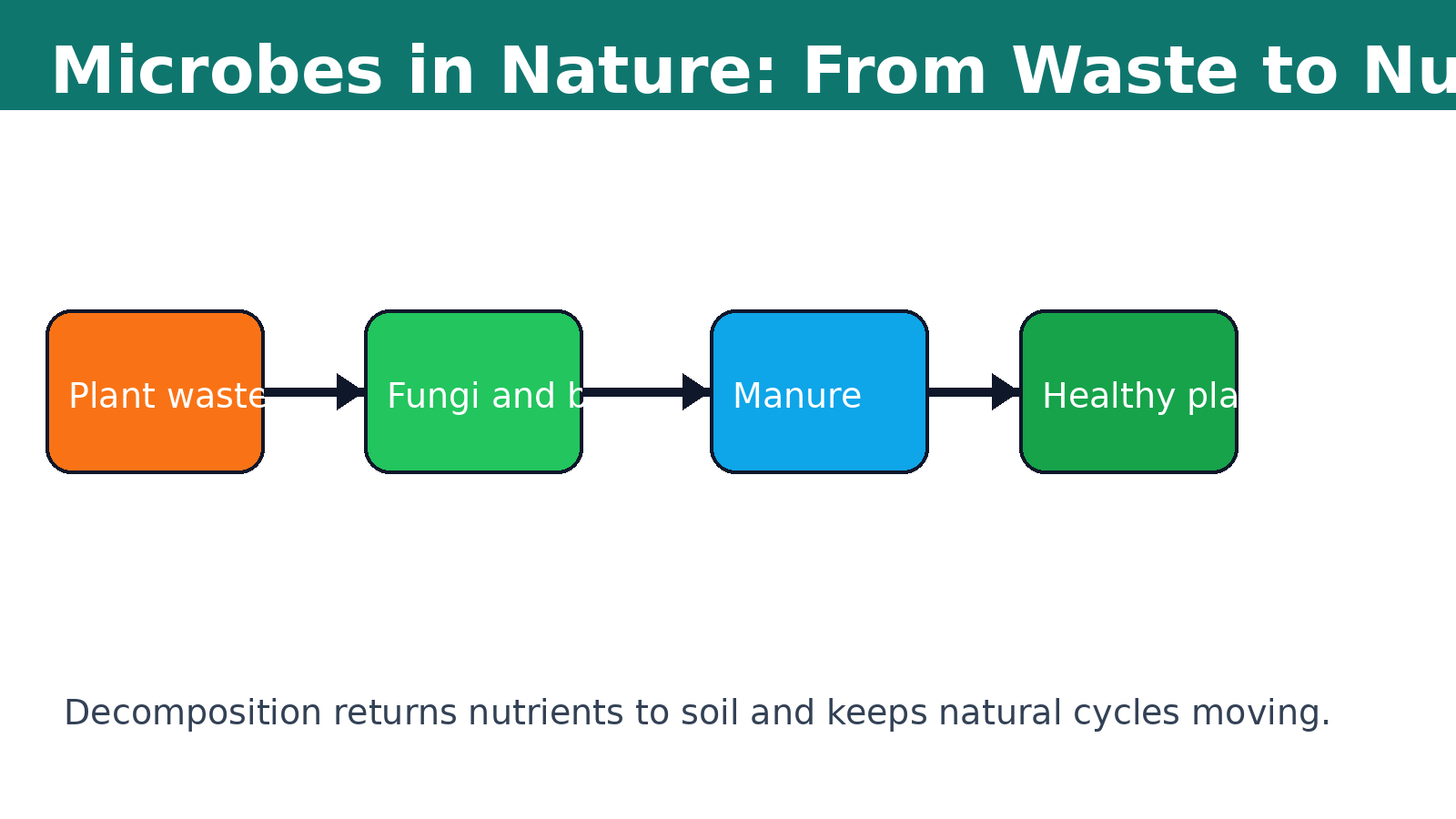 Microbes nutrient cycle and decomposition process for Class 8 Science Chapter 2