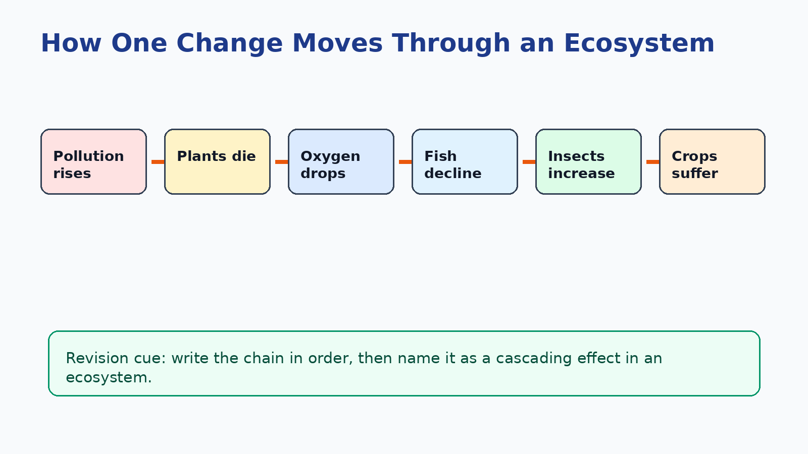 Class 8 Science ecosystem chain of effects revision image