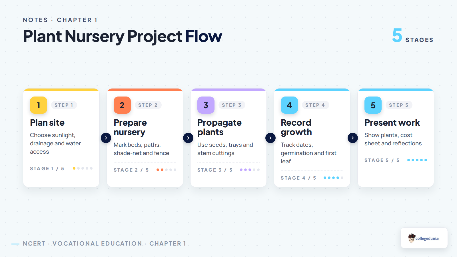 Plant Nursery activity flow for Class 7 Vocational Education