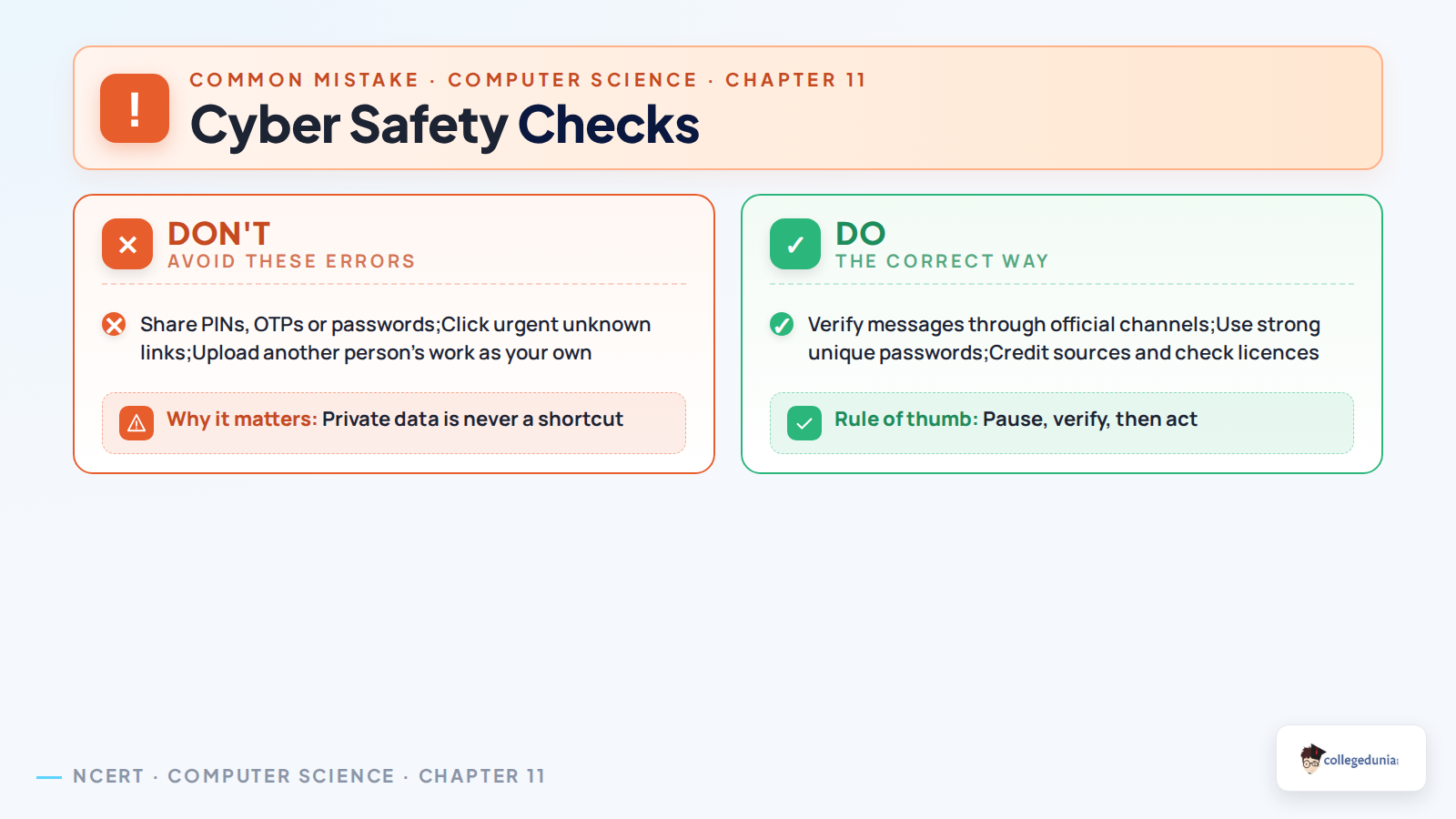 Cyber safety checks for Class 11 Computer Science