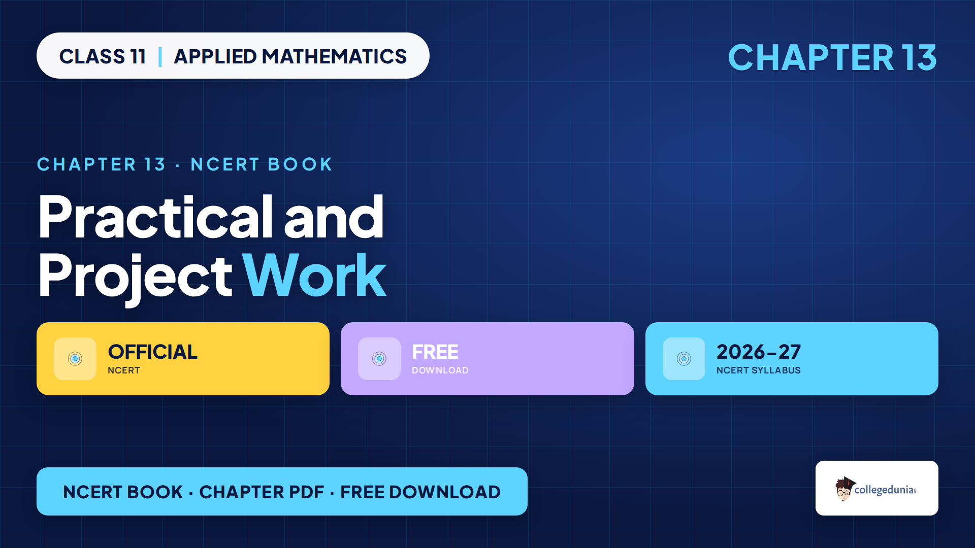 Practical and Project Work Class 11 Applied Mathematics NCERT Book PDF