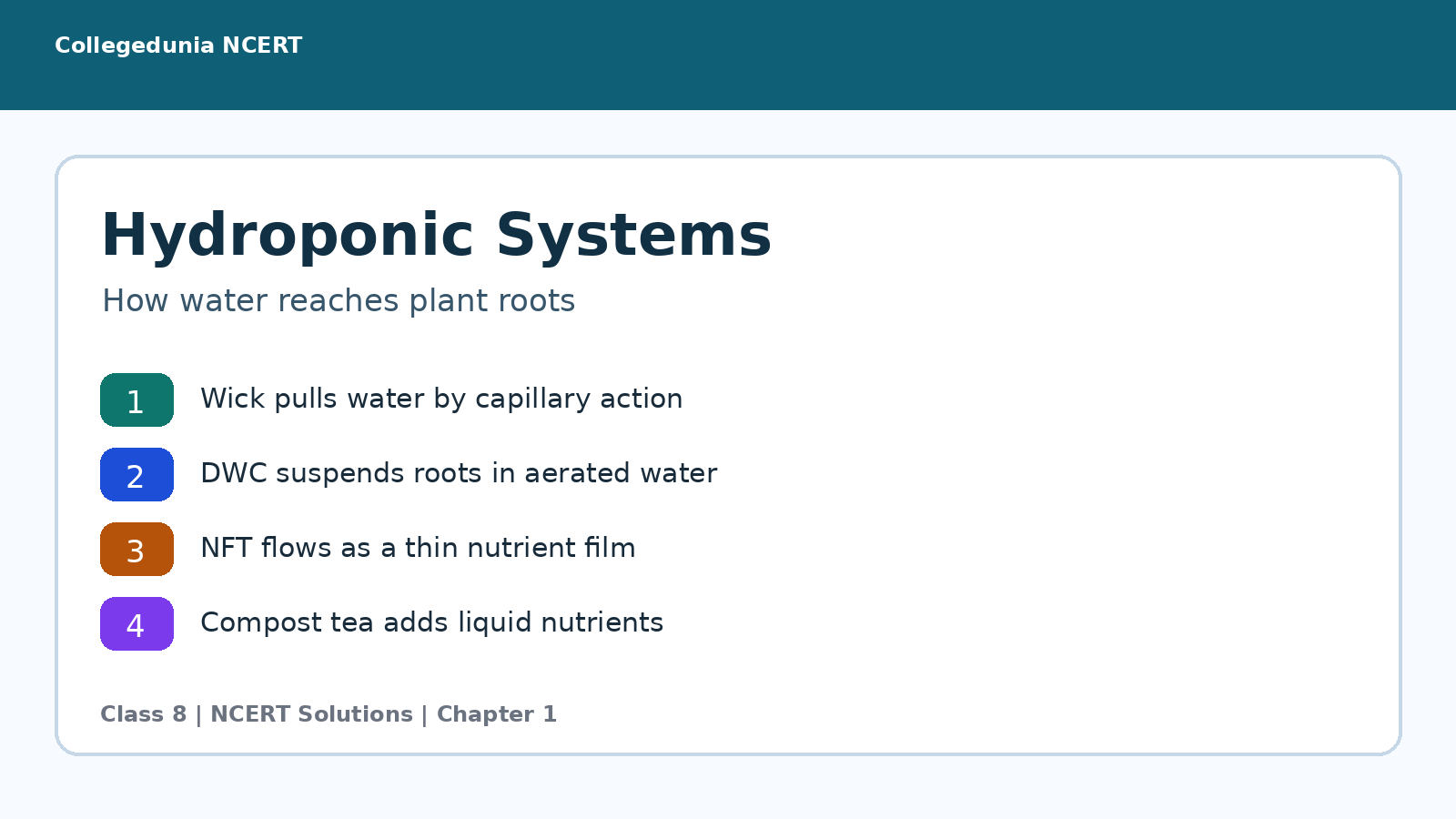 Hydroponics systems for Class 8 Vocational Education