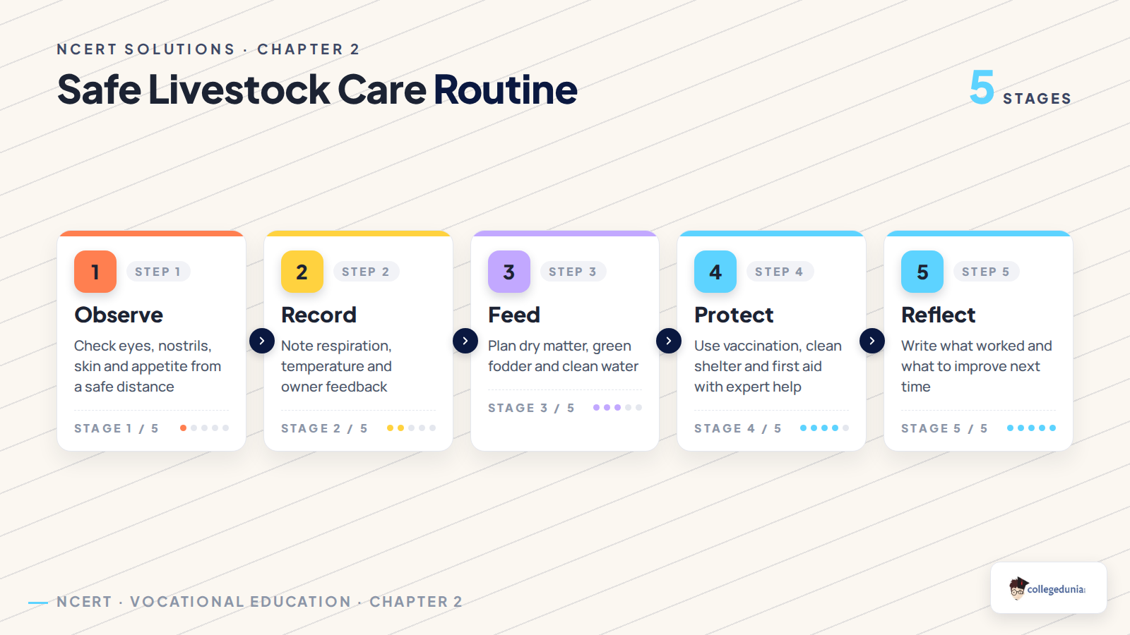 Safe livestock care routine for Class 8 project answers